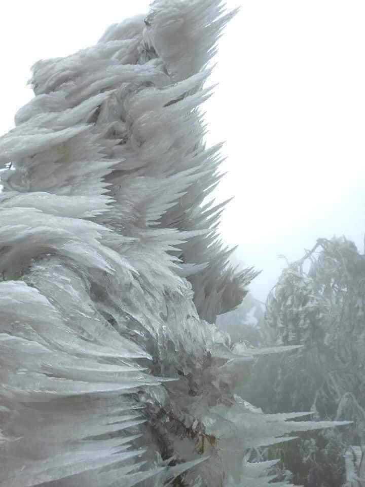 Loạt ảnh tuyết rơi trắng xóa tựa trời Âu tại các điểm du lịch Tây Bắc khiến dân tình phát sốt-3