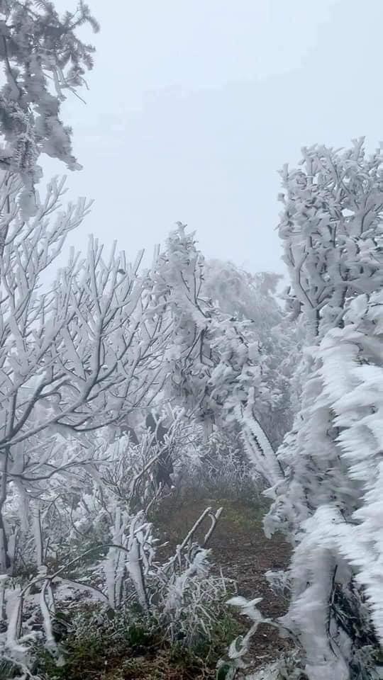 Loạt ảnh tuyết rơi trắng xóa tựa trời Âu tại các điểm du lịch Tây Bắc khiến dân tình phát sốt-4