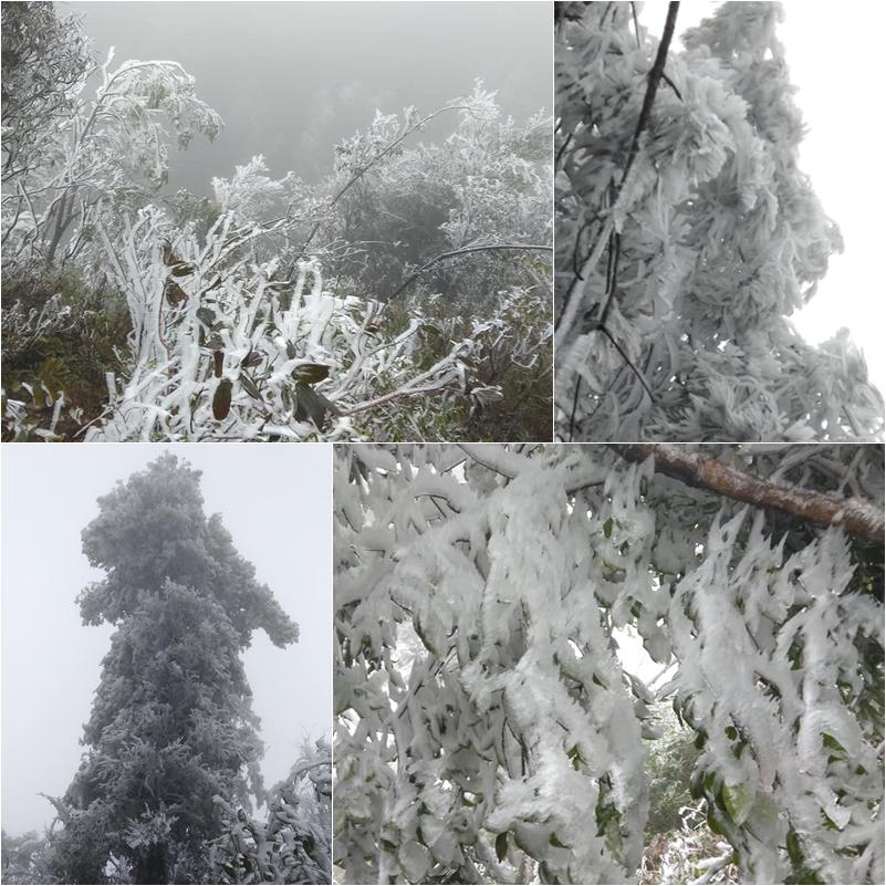 Loạt ảnh tuyết rơi trắng xóa tựa trời Âu tại các điểm du lịch Tây Bắc khiến dân tình phát sốt-5