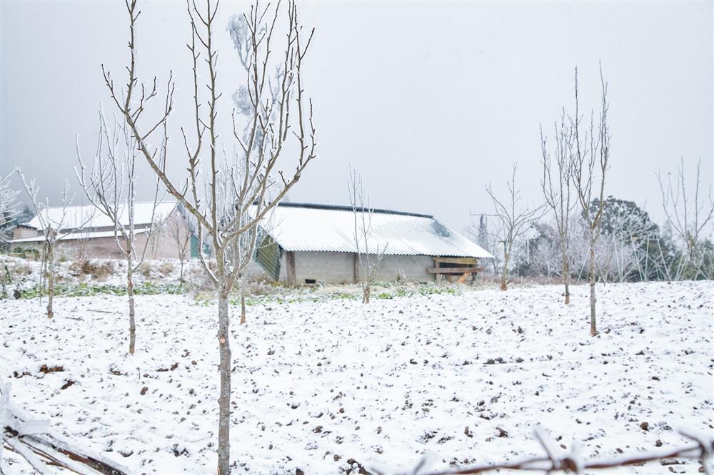 Loạt ảnh tuyết rơi trắng xóa tựa trời Âu tại các điểm du lịch Tây Bắc khiến dân tình phát sốt-7