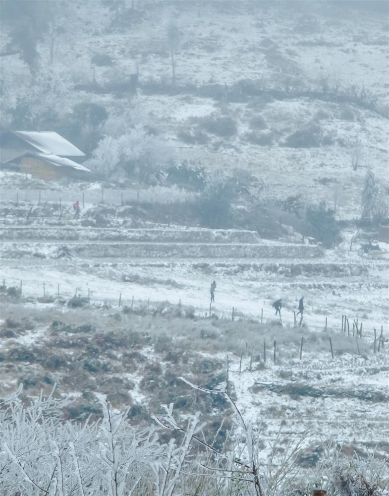 Loạt ảnh tuyết rơi trắng xóa tựa trời Âu tại các điểm du lịch Tây Bắc khiến dân tình phát sốt-8