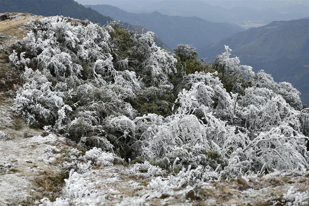 Loạt ảnh tuyết rơi trắng xóa tựa trời Âu tại các điểm du lịch Tây Bắc khiến dân tình phát sốt-9