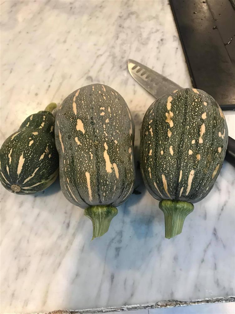 Bố mẹ Hồ Ngọc Hà làm nông dân cuốc đất dù giàu nứt đố đổ vách-2