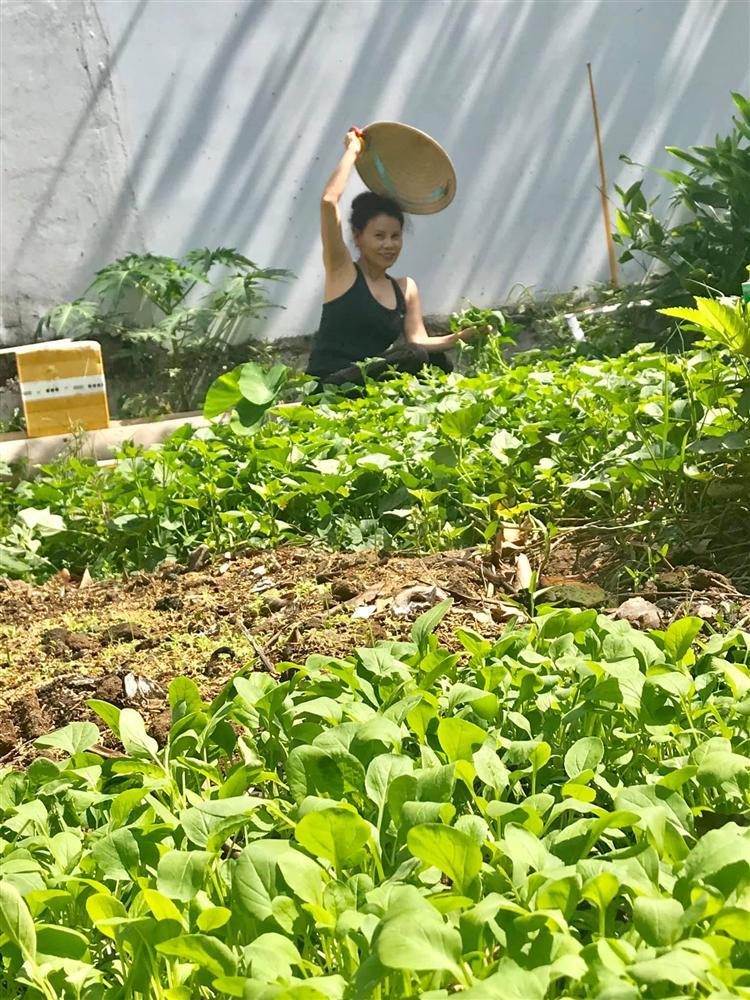 Bố mẹ Hồ Ngọc Hà làm nông dân cuốc đất dù giàu nứt đố đổ vách-6