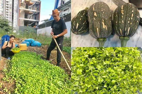 Bố mẹ Hồ Ngọc Hà làm 'nông dân cuốc đất' dù giàu nứt đố đổ vách