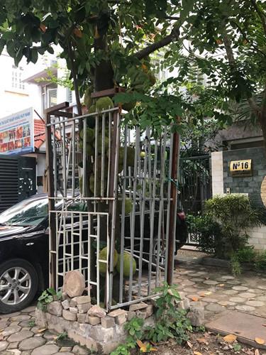 Series chống trộm trái cây chẳng khác gì thiên la địa võng thách thức kẻ xấu-6