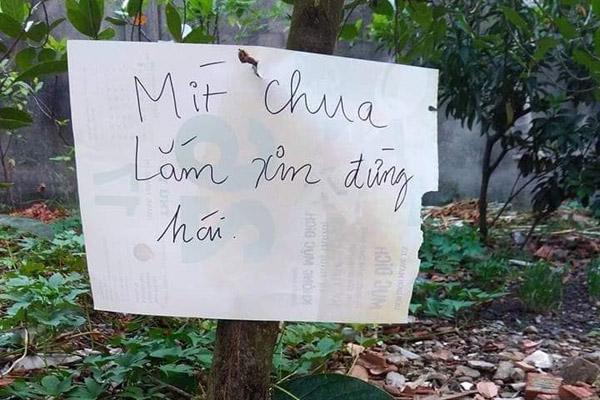 Loạt thảm họa cây nhà trồng, quả hàng xóm hưởng khiến chủ nhân phiền lòng không thôi-10