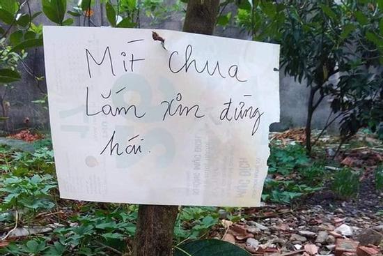 Series chống trộm trái cây chẳng khác gì 'thiên la địa võng' thách thức 'kẻ xấu'