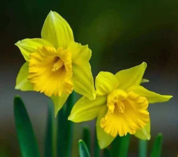 Sinh vào 6 ngày Âm lịch có số phú quý, cuộc đời suôn sẻ, không sợ gập ghềnh-1