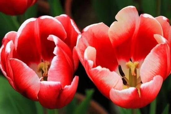 Sinh vào 6 ngày Âm lịch có số phú quý, cuộc đời suôn sẻ, không sợ gập ghềnh