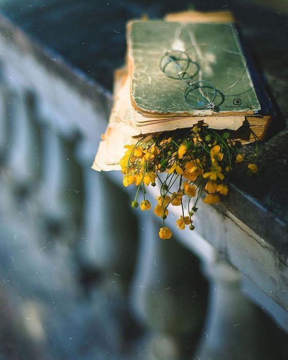 Tử vi 12 cung hoàng đạo thứ Năm ngày 14/1/2021: Nhân Mã thực tế, Ma Kết ích kỷ-3