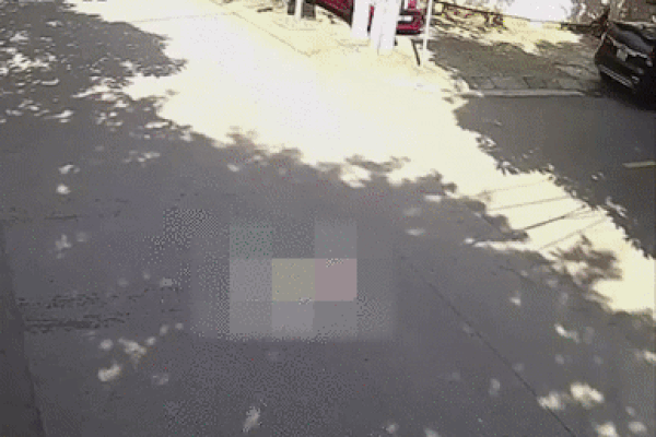 Clip: Xe tải không người lái vẫn lùi xe cực dứt khoát-1