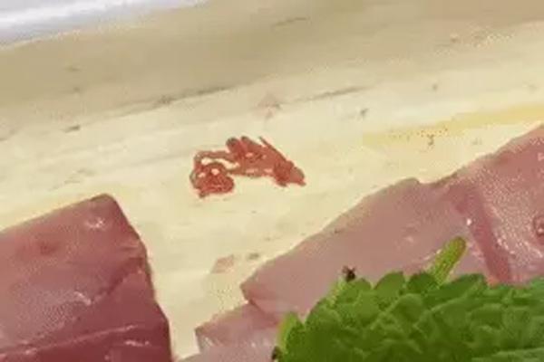 Ăn món sushi sai cách mang họa vào thân và những ai không nên ăn-2