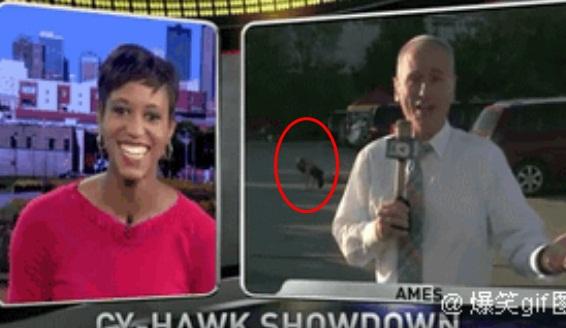 Không thể nhịn cười trước những giây phút lỡ làng trên sóng truyền hình-3