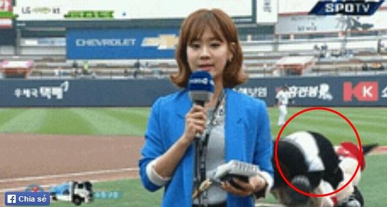 Không thể nhịn cười trước những giây phút lỡ làng trên sóng truyền hình-4