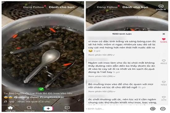 'Tại sao ngâm ốc phải bỏ đồ inox vào?' và loạt câu trả lời bá đạo từ dân mạng