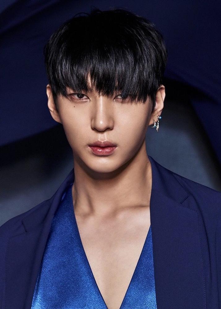 Loạt Idols sở hữu visual chẳng có miếng nào liên quan đến giọng hát-2