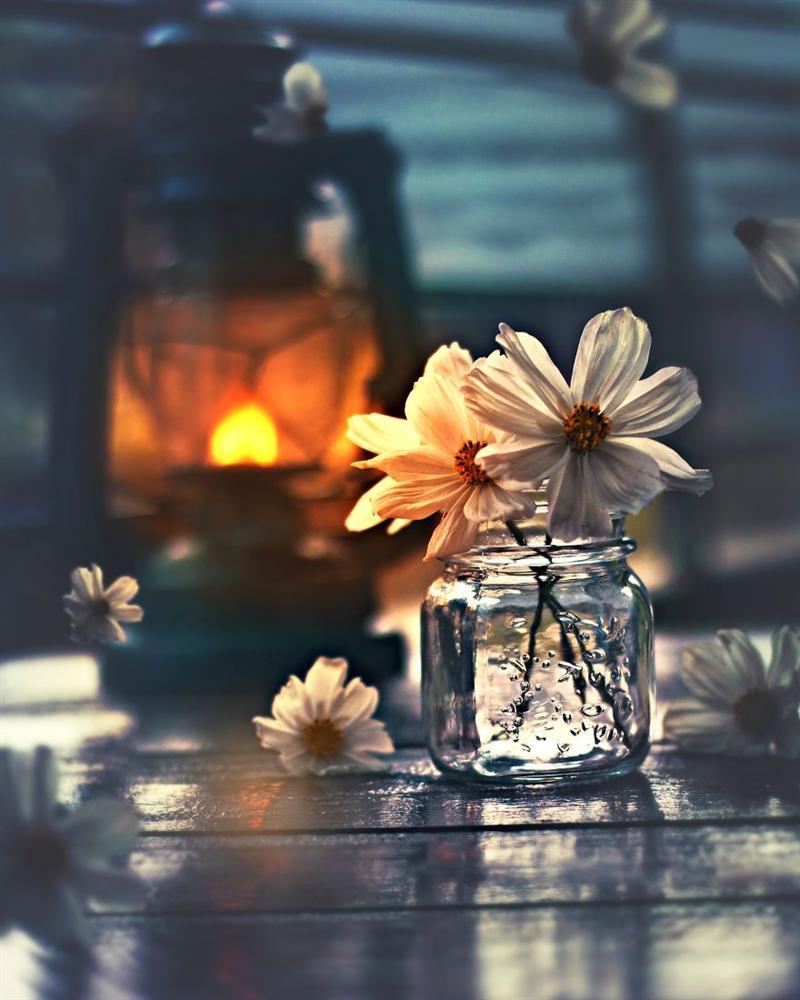 Tử vi 12 cung hoàng đạo thứ Sáu ngày 15/1/2021: Bảo Bình tài trí, Song Ngư cân nhắc-2