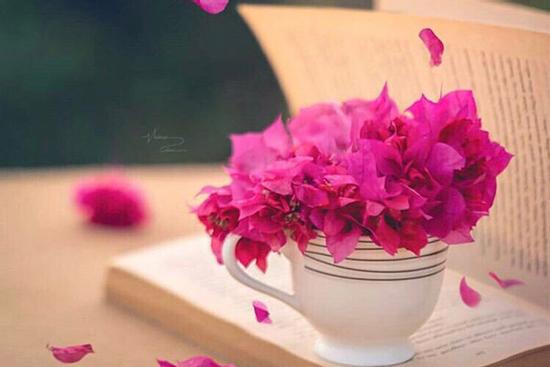 Tử vi 12 cung hoàng đạo thứ Sáu ngày 15/1/2021: Bảo Bình tài trí, Song Ngư cân nhắc