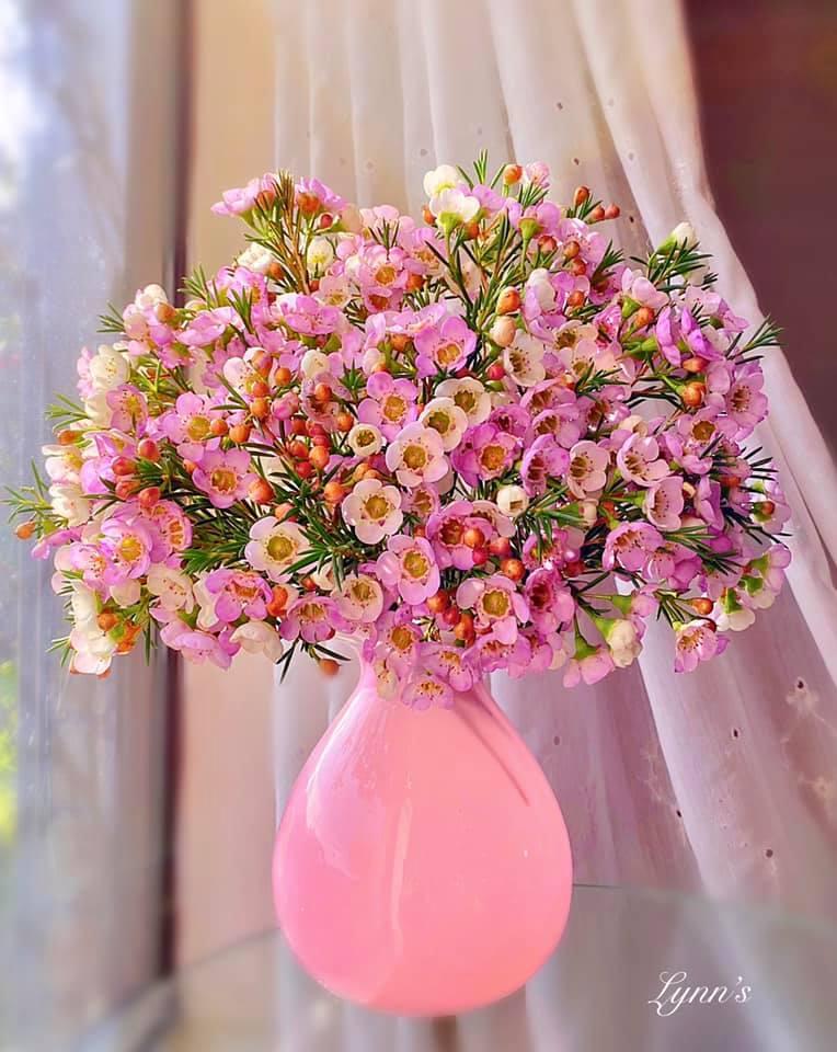 Mẹ 8X ở Australia biến tư gia riêng trở thành shop hoa thanh liễu vạn người mê-2