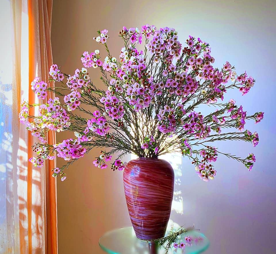 Mẹ 8X ở Australia biến tư gia riêng trở thành shop hoa thanh liễu vạn người mê-3