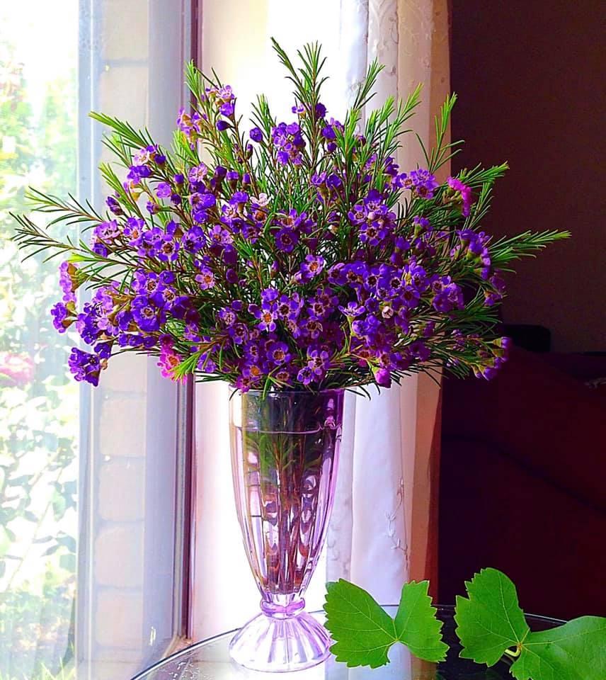 Mẹ 8X ở Australia biến tư gia riêng trở thành shop hoa thanh liễu vạn người mê-4