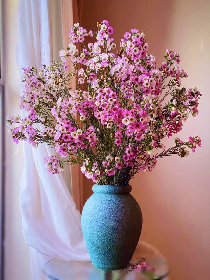 Mẹ 8X ở Australia biến tư gia riêng trở thành shop hoa thanh liễu vạn người mê-5