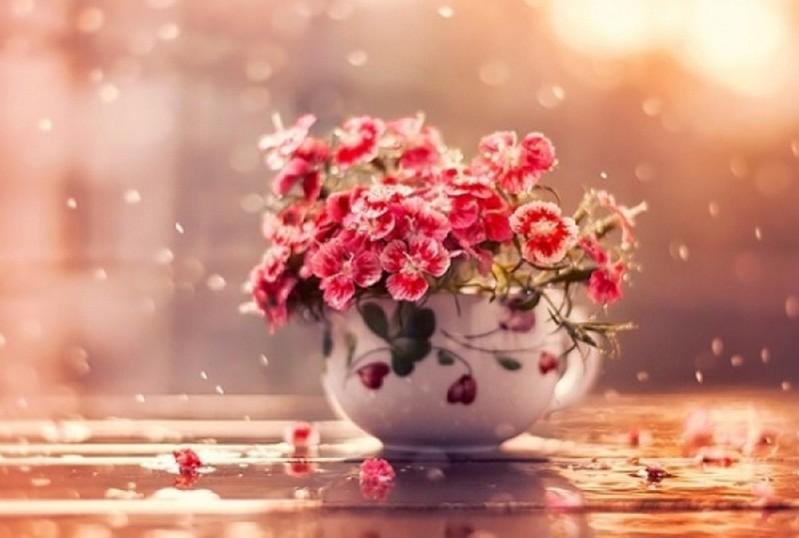 Tử vi 12 cung hoàng đạo thứ Bảy ngày 16/1/2021: Bạch Dương thụ động, Song Ngư nỗ lực-3