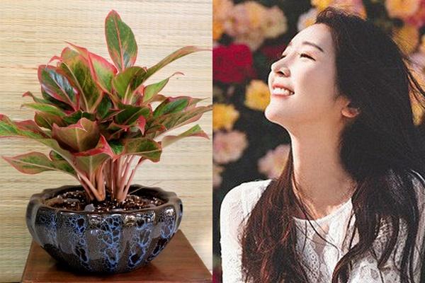 3 con giáp cẩn thận thị phi cuối tuần, có kẻ đâm sau lưng-4