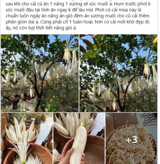 Món ăn rẻ bèo hút 13k like trên hội Yêu bếp: Chủ thớt bật mí tất tần tật cách làm, kể luôn cả cái mùi ghê quá khi đang phơi dở-1