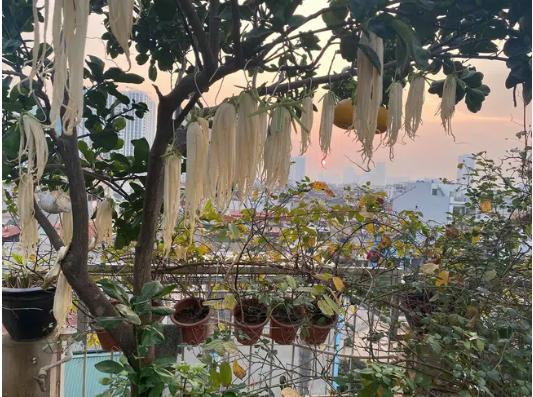 Món ăn rẻ bèo hút 13k like trên hội Yêu bếp: Chủ thớt bật mí tất tần tật cách làm, kể luôn cả cái mùi ghê quá khi đang phơi dở-5