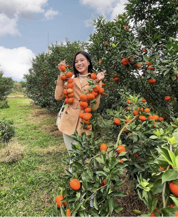 Hoa hậu Đỗ Thị Hà: zoom cận visual lộ khuyết điểm ở vùng mắt nhưng vẫn xinh xỉu up xỉu down-3