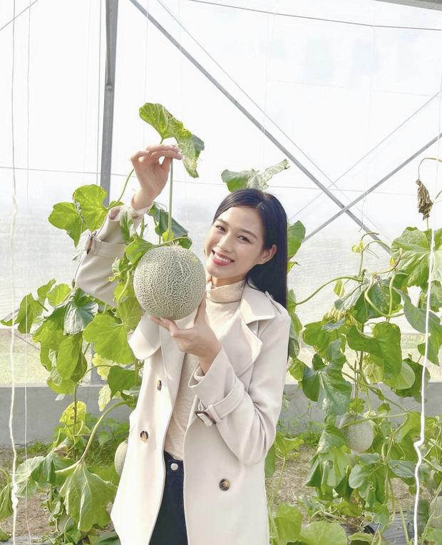 Hoa hậu Đỗ Thị Hà: zoom cận visual lộ khuyết điểm ở vùng mắt nhưng vẫn xinh xỉu up xỉu down-4