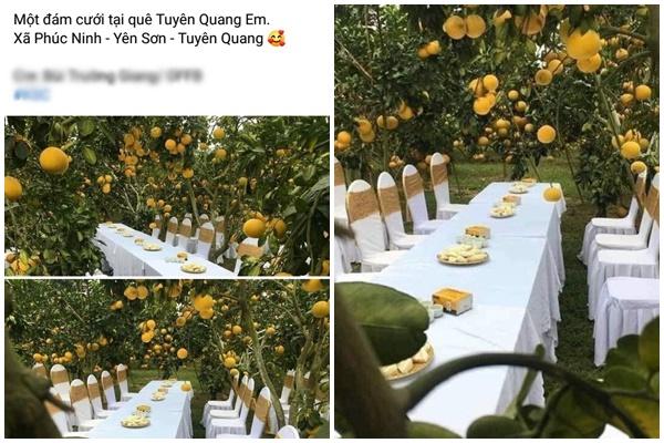 Mất 500 triệu tiền thách cưới vợ 2 bằng đại học, tân hôn xong tôi khiếp vía vội chìa đơn-3