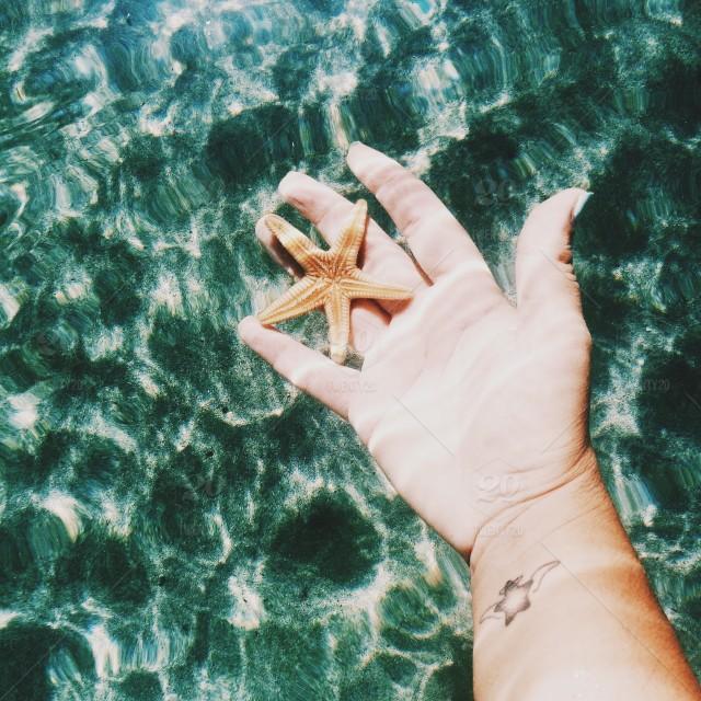 Tử vi 12 cung hoàng đạo thứ Ba ngày 19/1/2021: Cự Giải bảo thủ, Nhân Mã nỗ lực-1