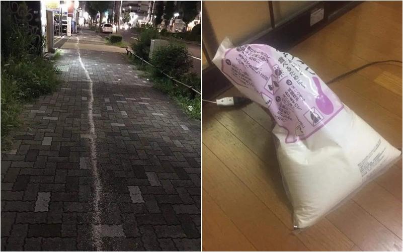 Nhờ chồng nội trợ và loạt cái kết khiến vợ nhìn mà muốn ở vậy cho xong-2