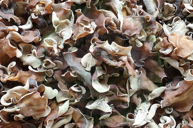 Các loại thực phẩm khô như các loại gia vị hay miến, mộc nhĩ, nấm,... đều rất cần thiết trong dịp Tết. Những mặt hàng này bán quanh năm từ siêu thị, chợ đến thị trường online. Thực phẩm khô có thể bảo quản được lâu, vì thế bạn nên mua sớm để tránh cập rập trong những ngày sát Tết.