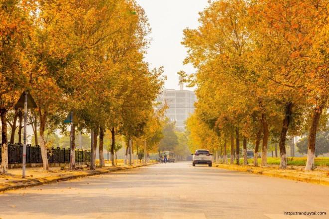 Con đường lá phong đỏ mệnh danh Seoul giữa lòng Hà Nội: Ảnh thực tế khác xa!-1