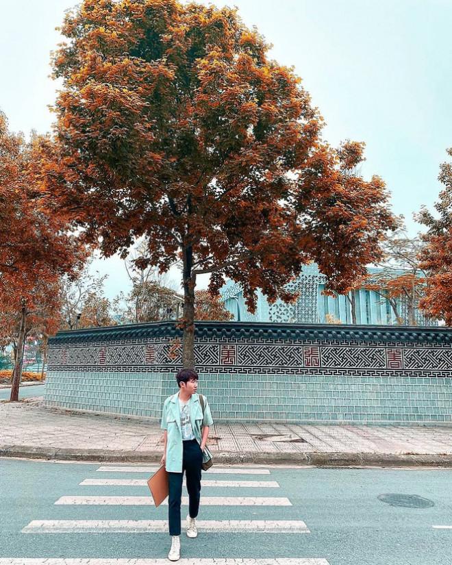 Con đường lá phong đỏ mệnh danh Seoul giữa lòng Hà Nội: Ảnh thực tế khác xa!-2