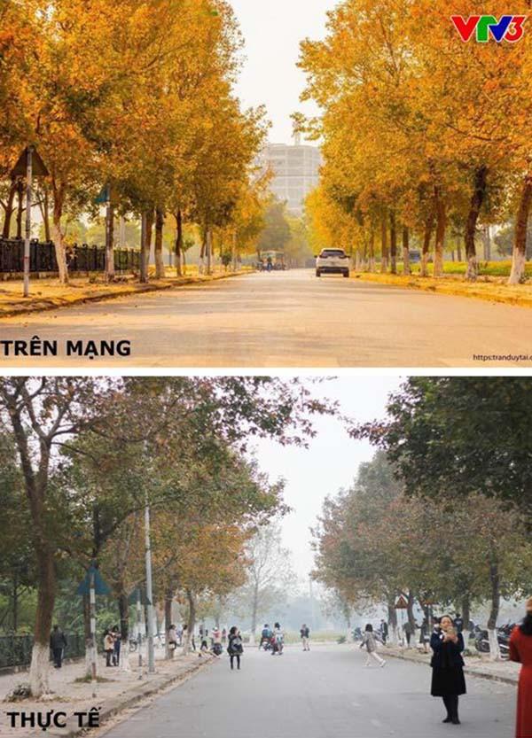 Con đường lá phong đỏ mệnh danh Seoul giữa lòng Hà Nội: Ảnh thực tế khác xa!-5