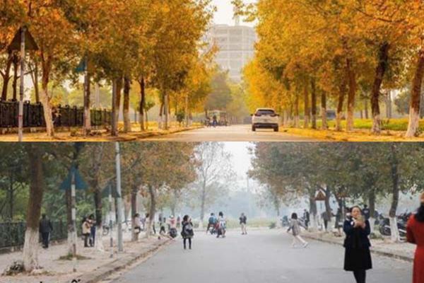 Dân Seoul bị các điểm du lịch nội địa xa lánh-3