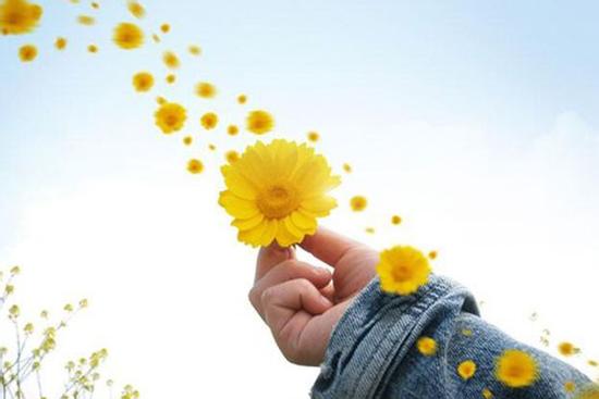 Tử vi thứ Tư ngày 20/1/2021 của 12 con giáp: Hợi thị phi, Tý tình duyên xuống dốc