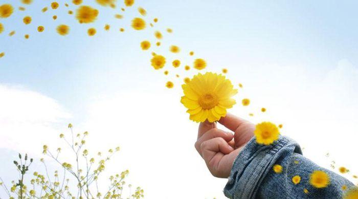 Tử vi thứ Tư ngày 20/1/2021 của 12 con giáp: Hợi thị phi, Tý tình duyên xuống dốc-1