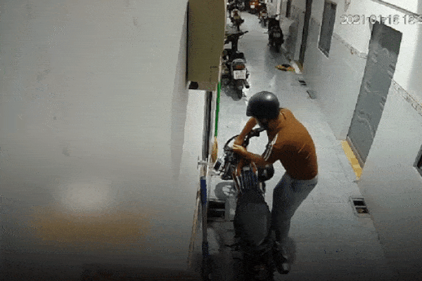 Hà Tĩnh: Hổ nặng 2,5 tạ bị điện giật bất tỉnh trong nhà dân-2