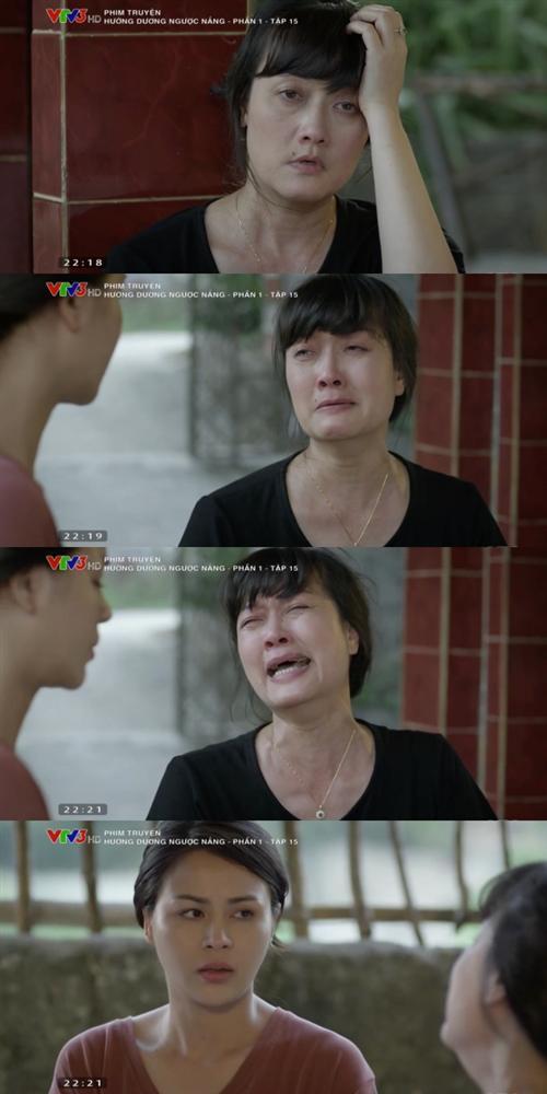 Vân Dung yêu 2 lần đều bị lừa trong Hướng dương ngược nắng-7