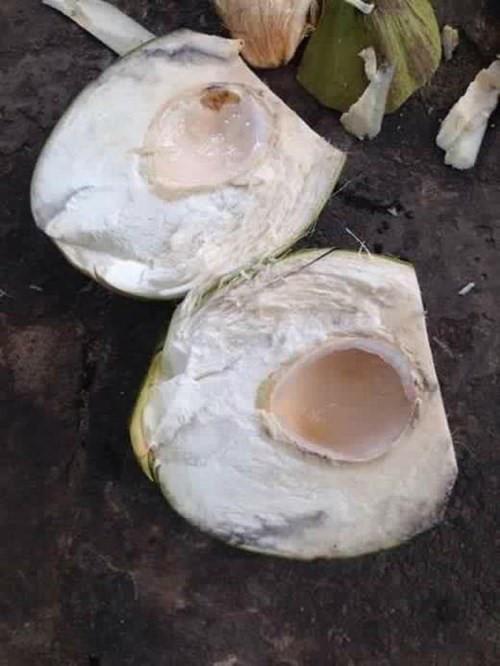 Những pha bổ trái cây đi vào lòng đất, nhìn cũng chán nói gì đến ăn-8