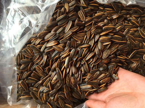 Ghiền hạt hướng dương đến mấy cũng đừng ăn 3 loại này nếu không muốn rước độc vào người-3