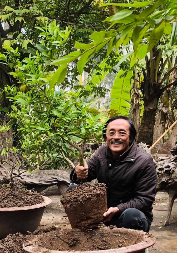 Nghệ sĩ Giang Còi bất ngờ rời bệnh viện về vườn trồng cây-1