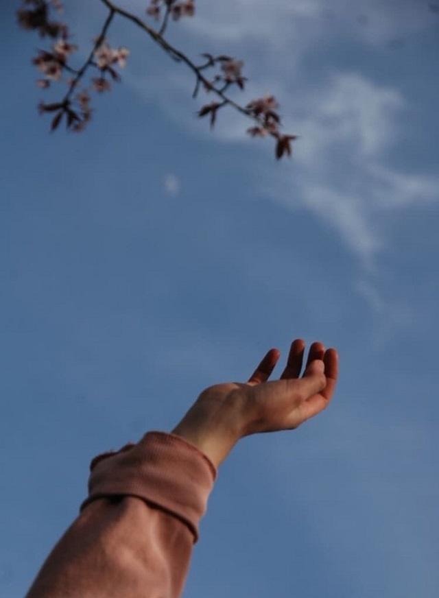 Tử vi thứ Sáu ngày 22/1/2021 của 12 con giáp: Hợi tình yêu rực rỡ-5