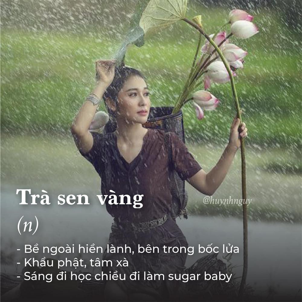 Sau drama trà xanh, dân mạng nhanh tay phổ cập loạt từ vựng hài hước về các loại trà-3